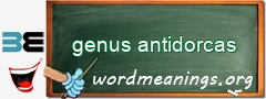 WordMeaning blackboard for genus antidorcas